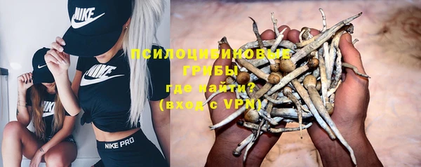 ПСИЛОЦИБИНОВЫЕ ГРИБЫ Баксан