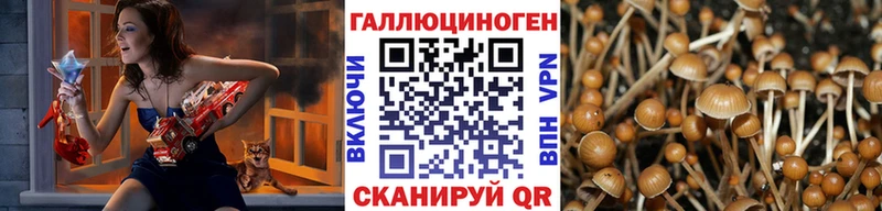 Псилоцибиновые грибы ЛСД  Белокуриха 